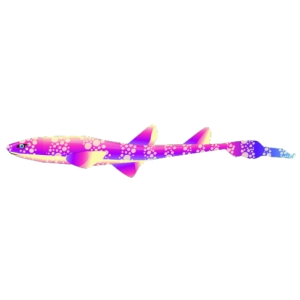 Violet Polka Cat Shark